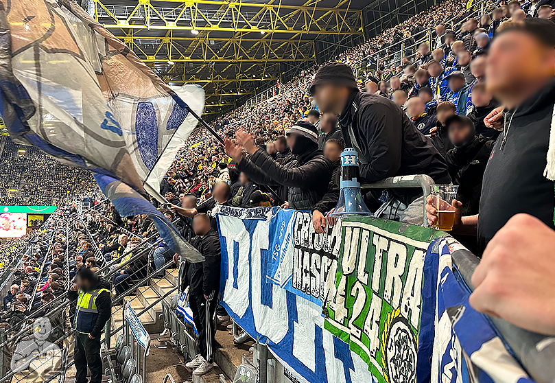 Borussia Dortmund – TSG Hoffenheim 1-0 (14)