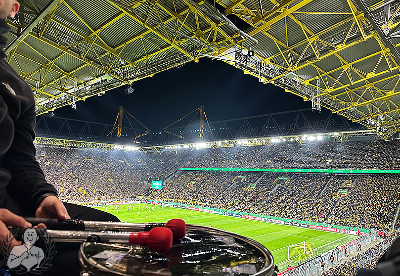 Borussia Dortmund – TSG Hoffenheim 1-0 (16)