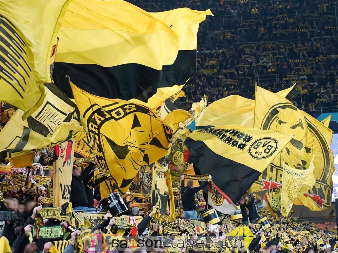 Borussia Dortmund – Newcastle United FC 2-0 (8)