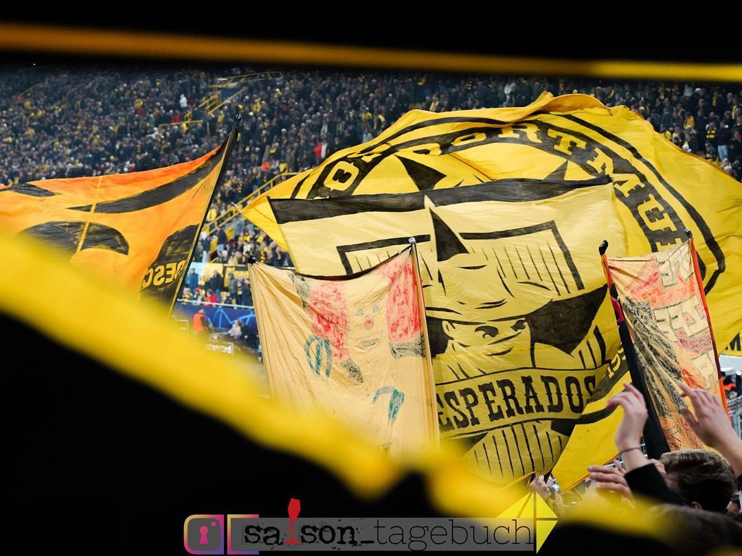 Borussia Dortmund – Newcastle United FC 2-0 (11)