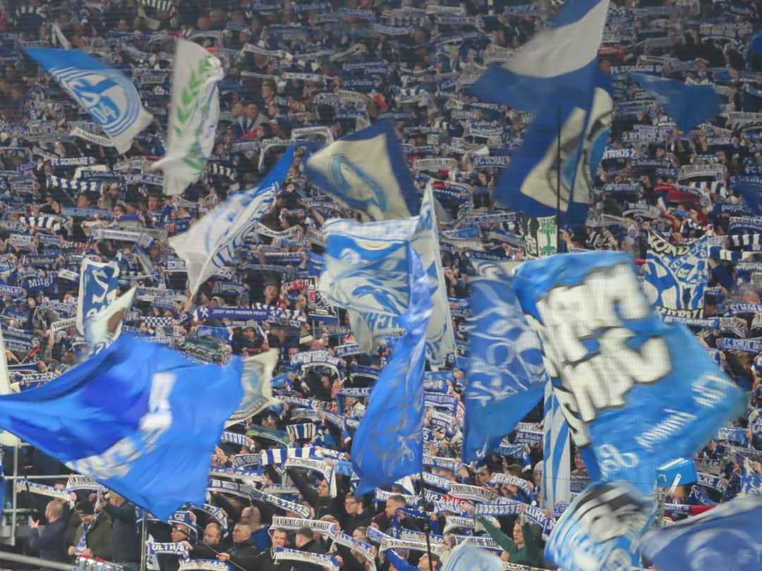 FC Schalke 04 – SV Elversberg 1-2