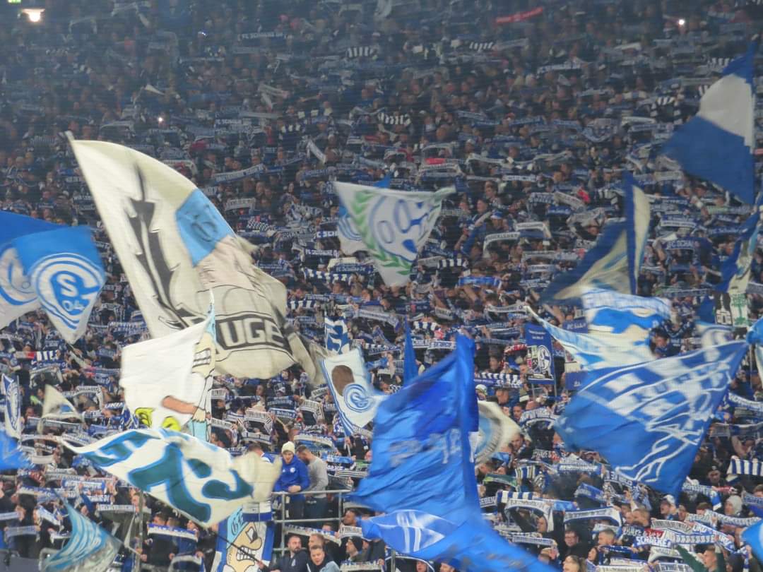 FC Schalke 04 – SV Elversberg 1-2 (6)