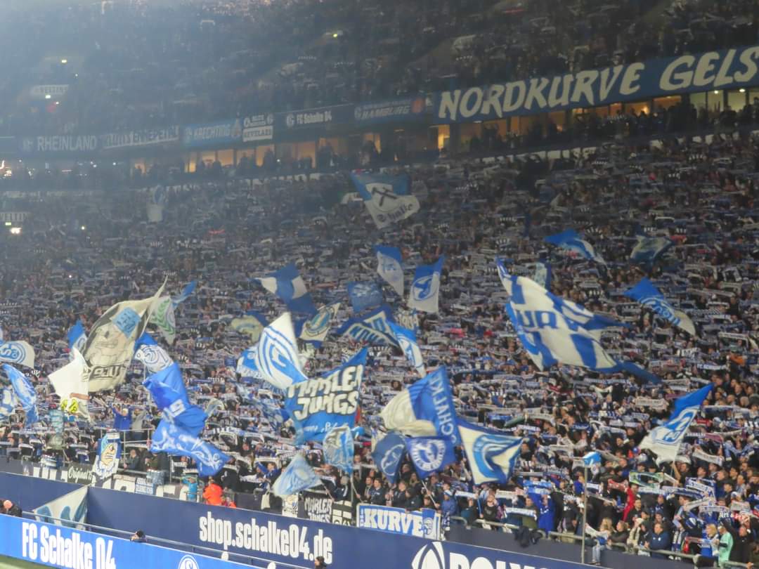 FC Schalke 04 – SV Elversberg 1-2 (8)