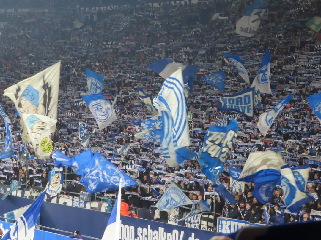 FC Schalke 04 – SV Elversberg 1-2 (9)