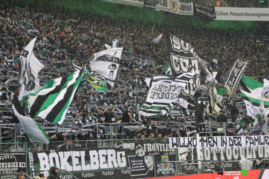 Borussia Mönchengladbach – VfL Wolfsburg 4-0 (2)