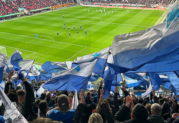 FC Augsburg – TSG Hoffenheim 1-1 (8)