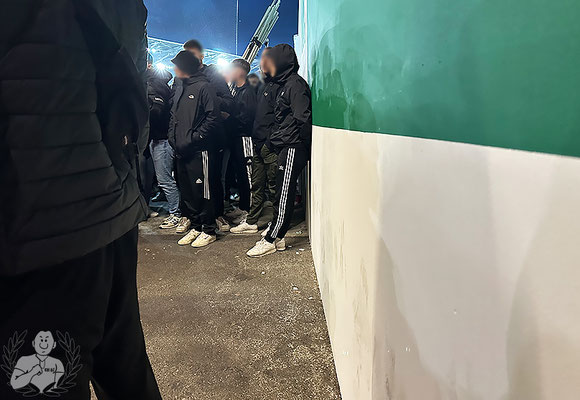 FC Augsburg – TSG Hoffenheim 1-1 (14)