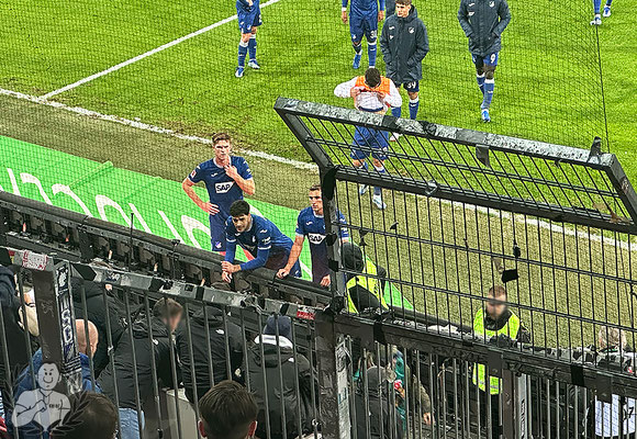 FC Augsburg – TSG Hoffenheim 1-1 (15)