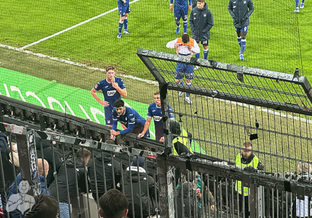 FC Augsburg – TSG Hoffenheim 1-1 (16)