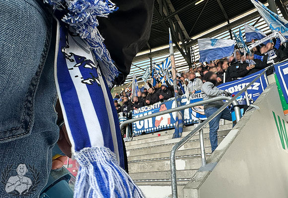 FC Augsburg – TSG Hoffenheim 1-1 (32)