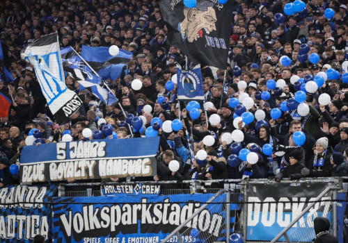 Hamburger SV – Eintracht Braunschweig 2-1 (10)