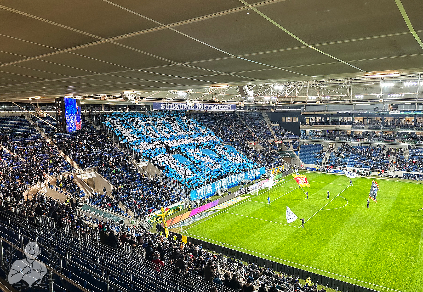 TSG Hoffenheim – 1. FSV Mainz 05 1-1 (12)