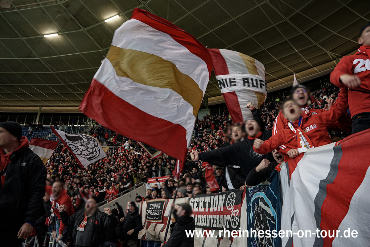 TSG Hoffenheim – 1. FSV Mainz 05 1-1 (13)