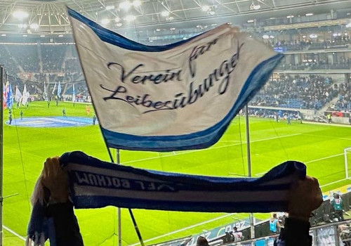 TSG Hoffenheim – VfL Bochum 3-1