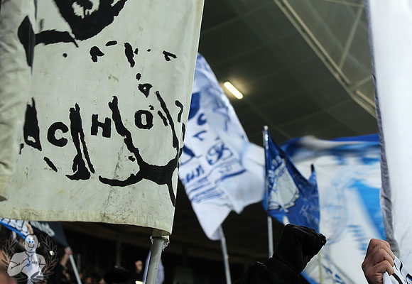 TSG Hoffenheim – VfL Bochum 3-1