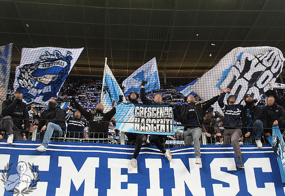 TSG Hoffenheim – VfL Bochum 3-1 (5)