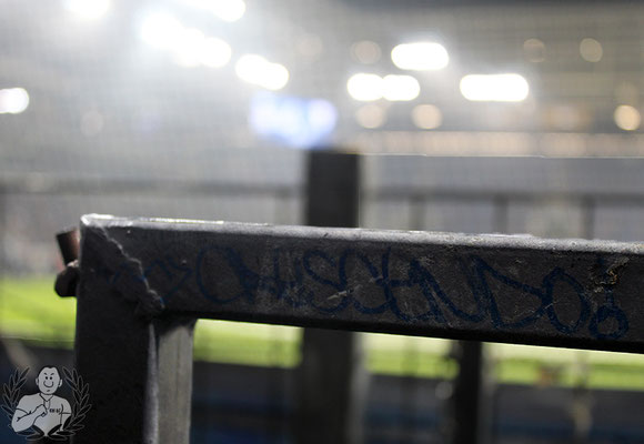 TSG Hoffenheim – VfL Bochum 3-1 (6)