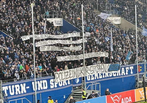 TSG Hoffenheim – VfL Bochum 3-1 (9)