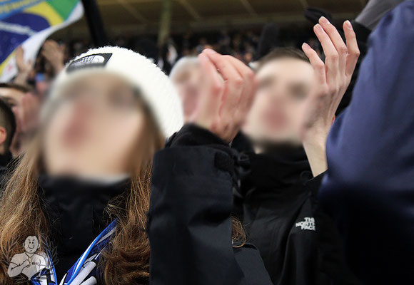 TSG Hoffenheim – VfL Bochum 3-1 (11)