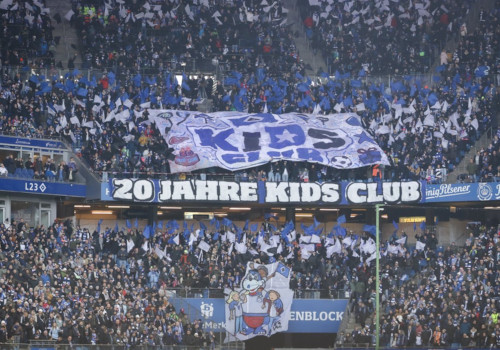 Hamburger SV – SC Paderborn 1-2 (8)
