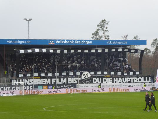 SV Sandhausen – SV Waldhof Mannheim 3-0 (1)
