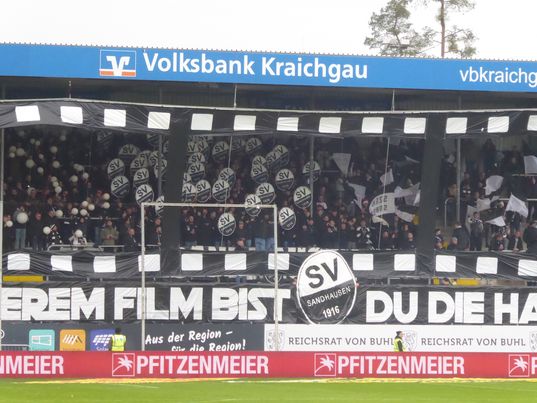 SV Sandhausen – SV Waldhof Mannheim 3-0 (2)