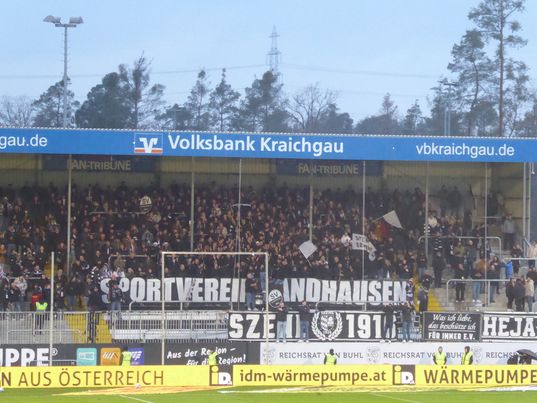 SV Sandhausen – SV Waldhof Mannheim 3-0 (5)