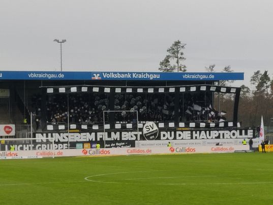 SV Sandhausen – SV Waldhof Mannheim 3-0 (10)