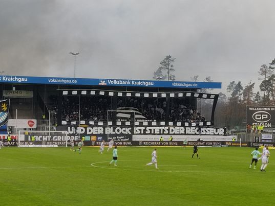 SV Sandhausen – SV Waldhof Mannheim 3-0 (12)