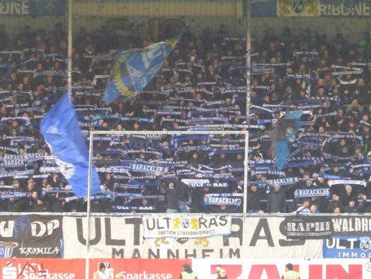 SV Sandhausen – SV Waldhof Mannheim 3-0 (1)