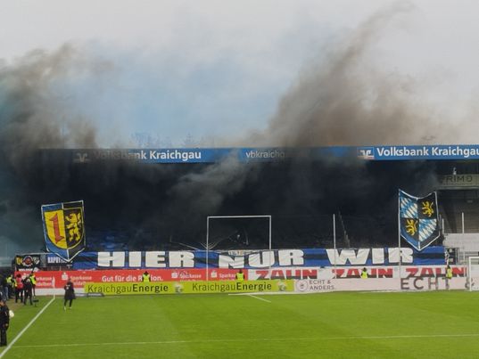 SV Sandhausen – SV Waldhof Mannheim 3-0 (3)
