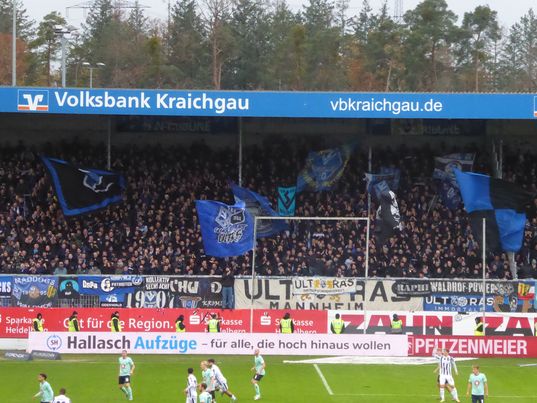 SV Sandhausen – SV Waldhof Mannheim 3-0 (10)
