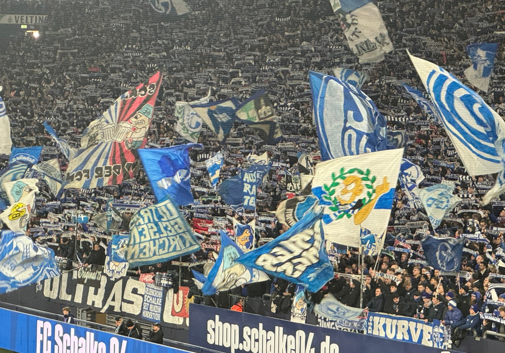 FC Schalke 04 – SpVgg Fürth 2-2 (2)