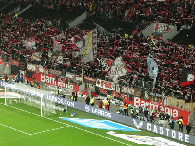 Bayer 04 Leverkusen – Eintracht Frankfurt 3-0 (5)