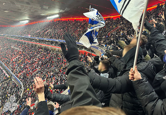 FC Bayern München – TSG Hoffenheim 3-0 (5)