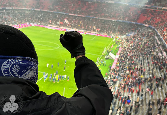 FC Bayern München – TSG Hoffenheim 3-0 (8)