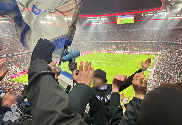 FC Bayern München – TSG Hoffenheim 3-0 (9)