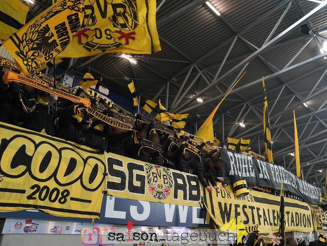 SV Darmstadt 98 – Borussia Dortmund 0-3 (5)