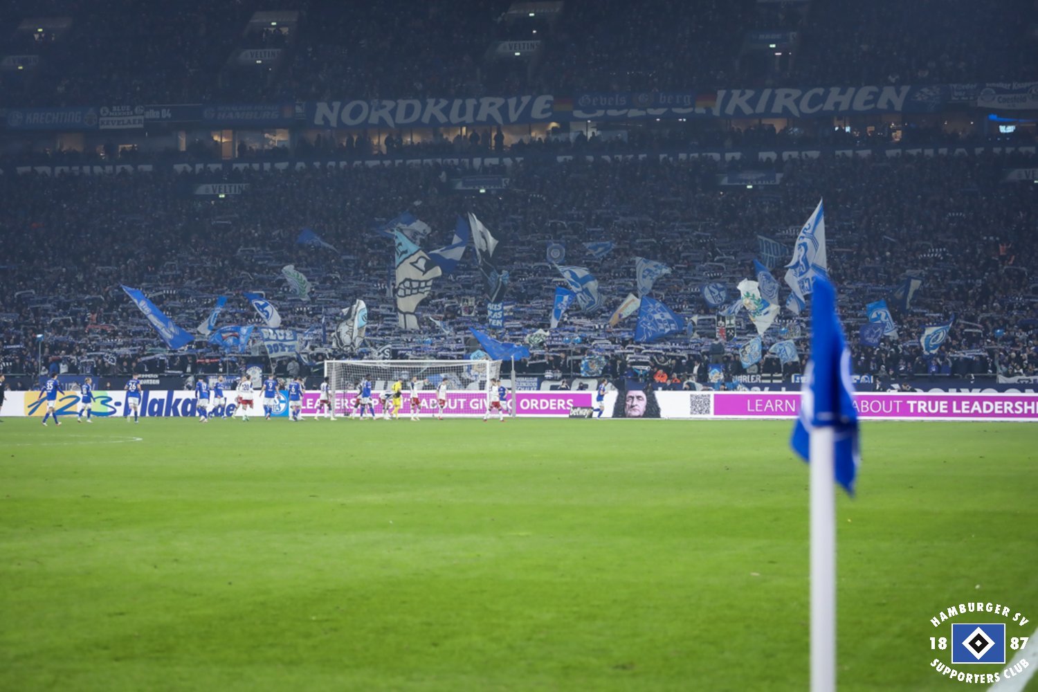 FC Schalke 04 – Hamburger SV (1)