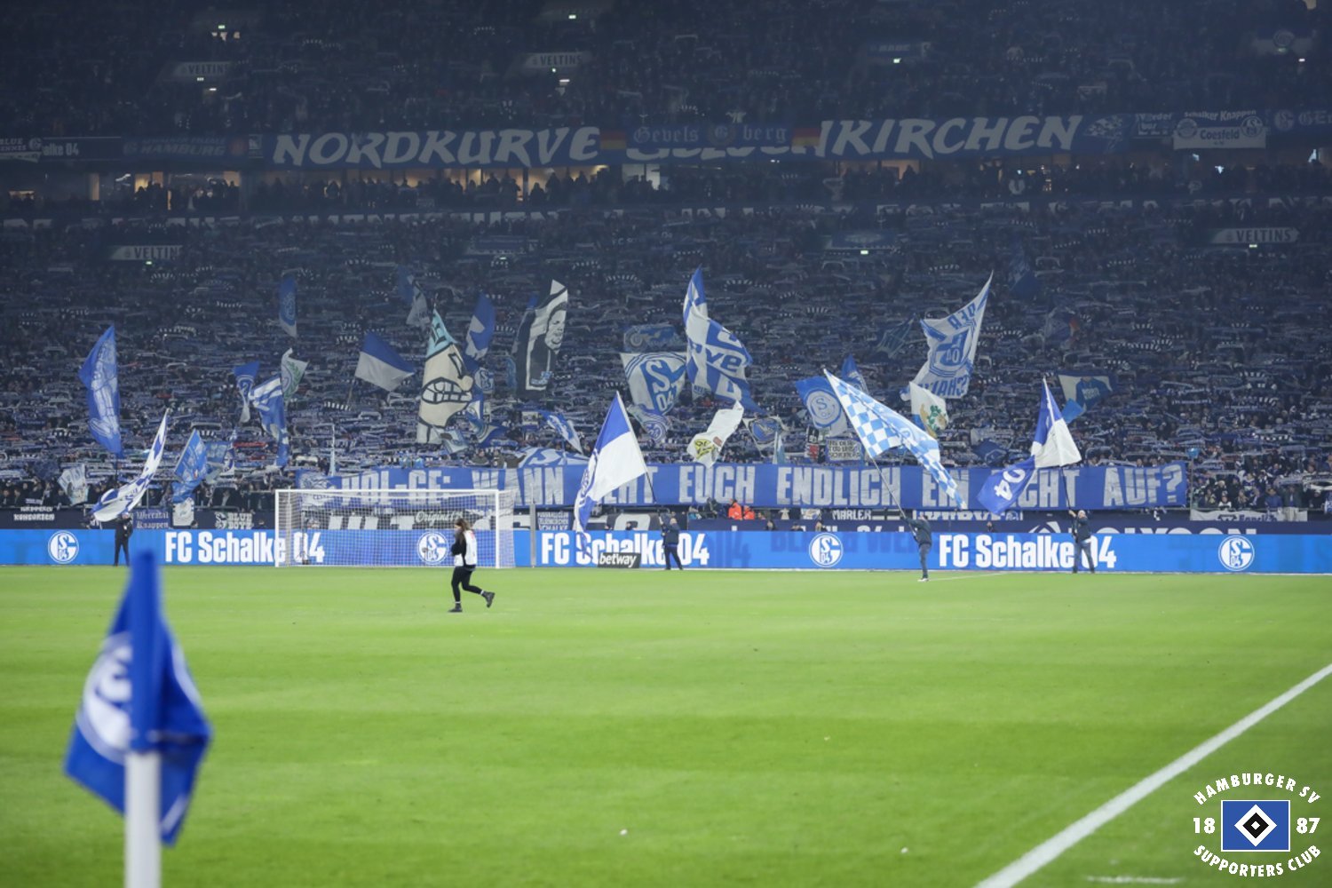 FC Schalke 04 – Hamburger SV (28)
