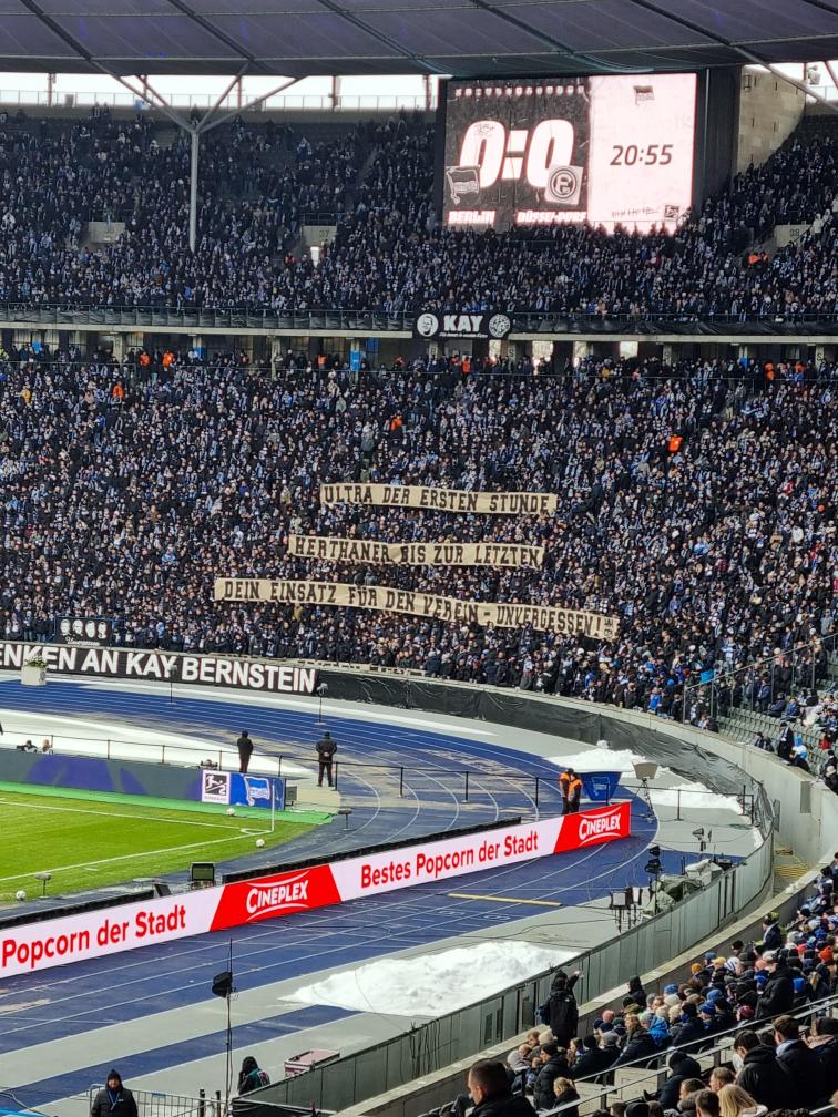 Hertha BSC – Fortuna Düsseldorf 2-2 (39)