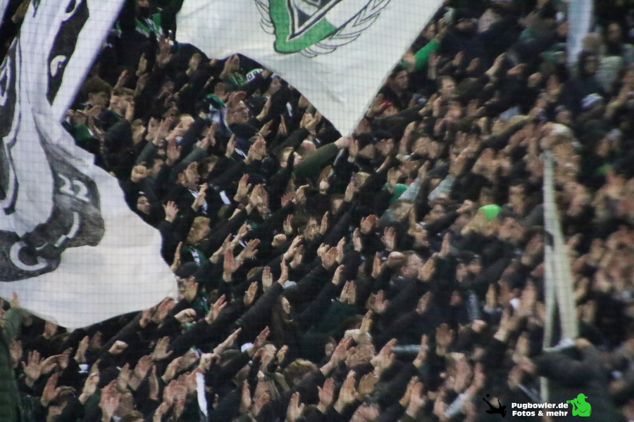 Borussia Mönchengladbach – FC Augsburg 1-2 (13)