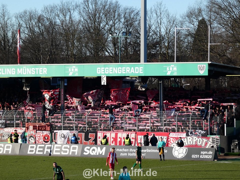 SC Preußen Münster – Rot-Weiss Essen 2-1 (7)