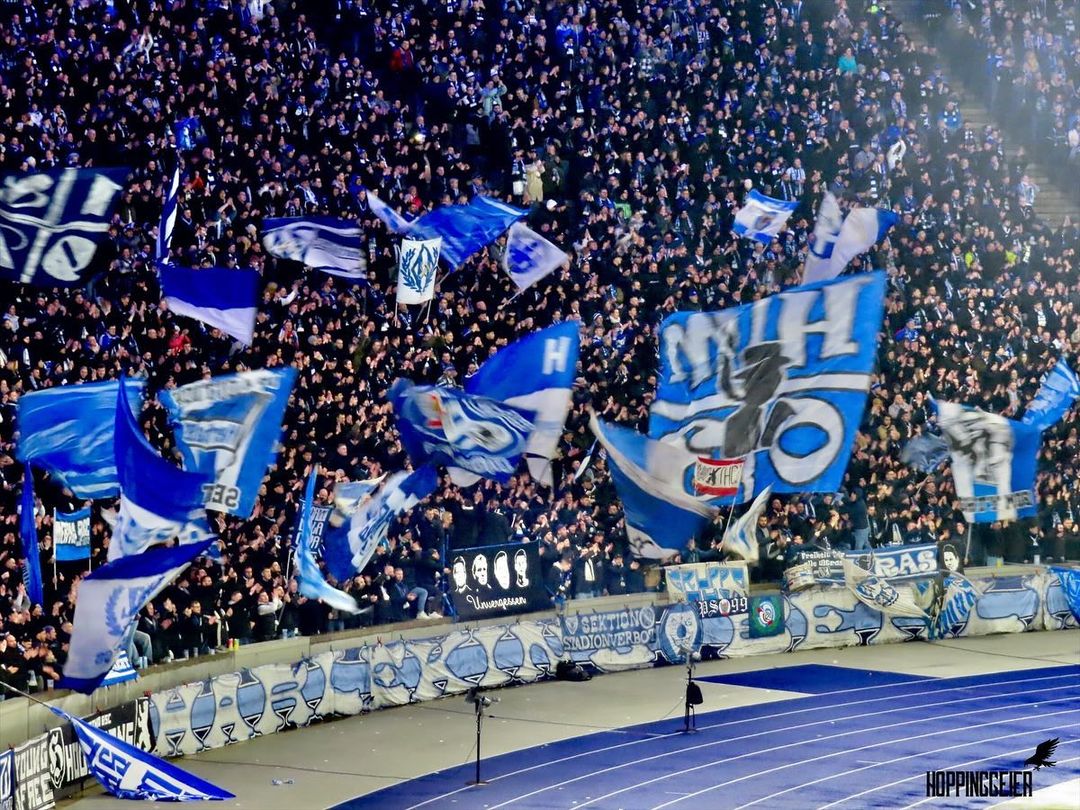 Hertha BSC – Hamburger SV 1-2 (3)