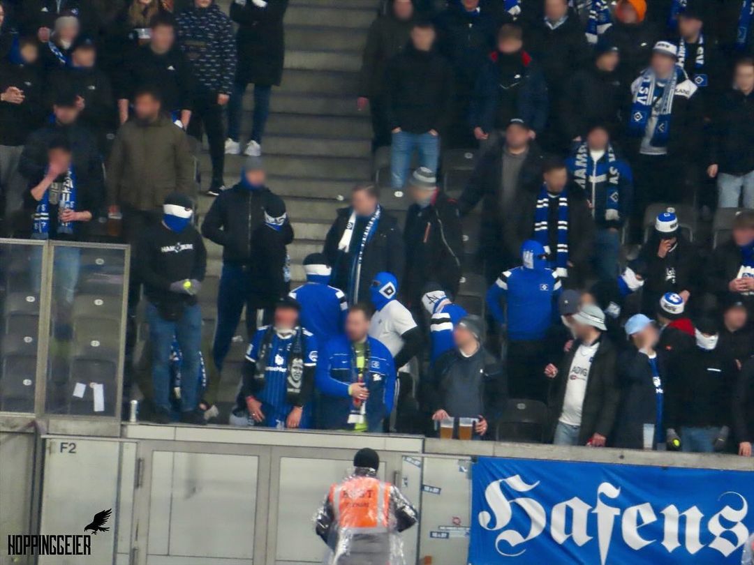 Hertha BSC – Hamburger SV 1-2 (24)