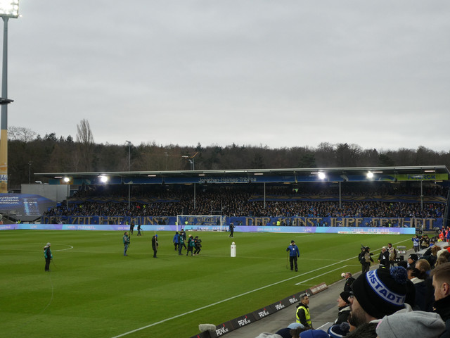 SV Darmstadt 98 – Bayer 04 Leverkusen 0-2 (5)