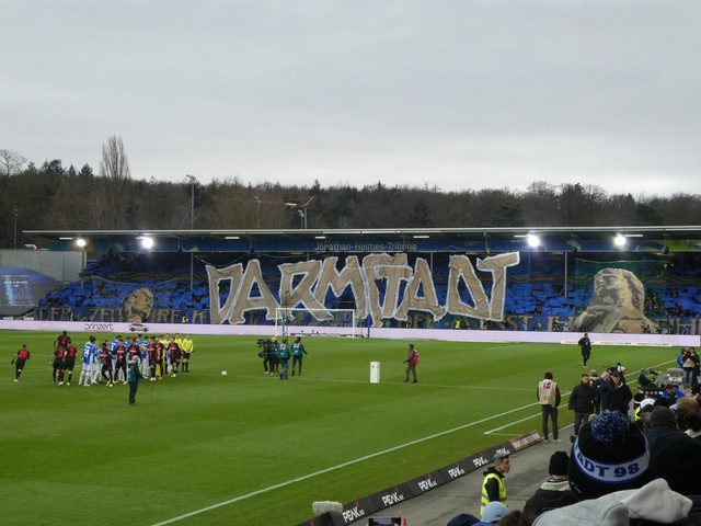 SV Darmstadt 98 – Bayer 04 Leverkusen 0-2 (8)