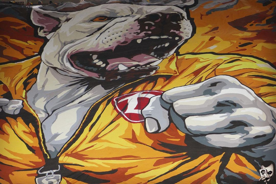 FC Ingolstadt – Dynamo Dresden (1)