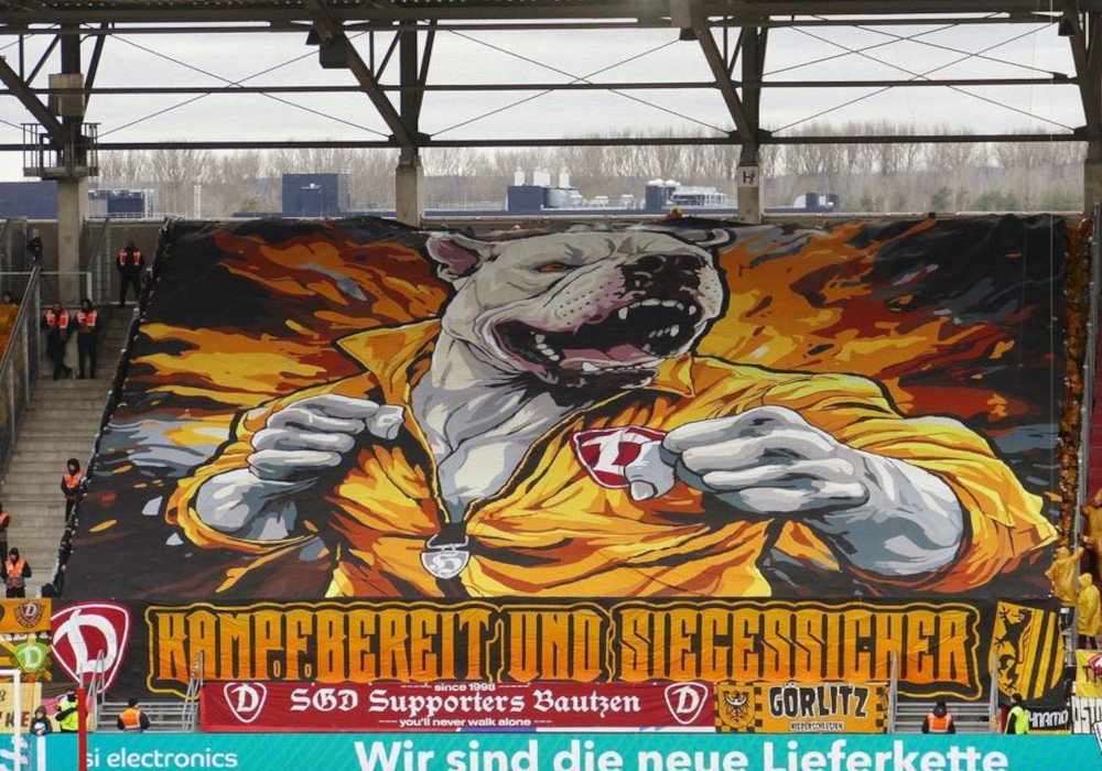 FC Ingolstadt – Dynamo Dresden (5)