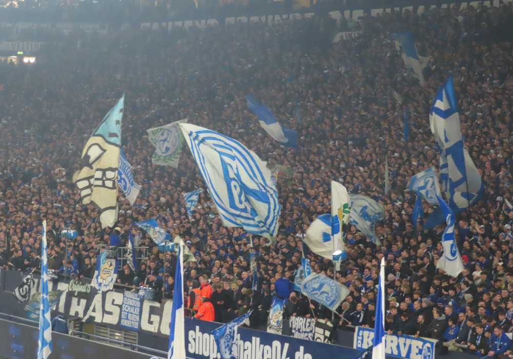 FC Schalke 04 – Eintracht Braunschweig 1-0 (8)